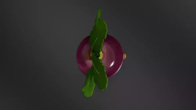 turnip 01 3D print model 6