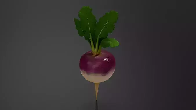 turnip 01 3D print model 2