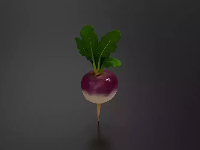 turnip 01 3D print model