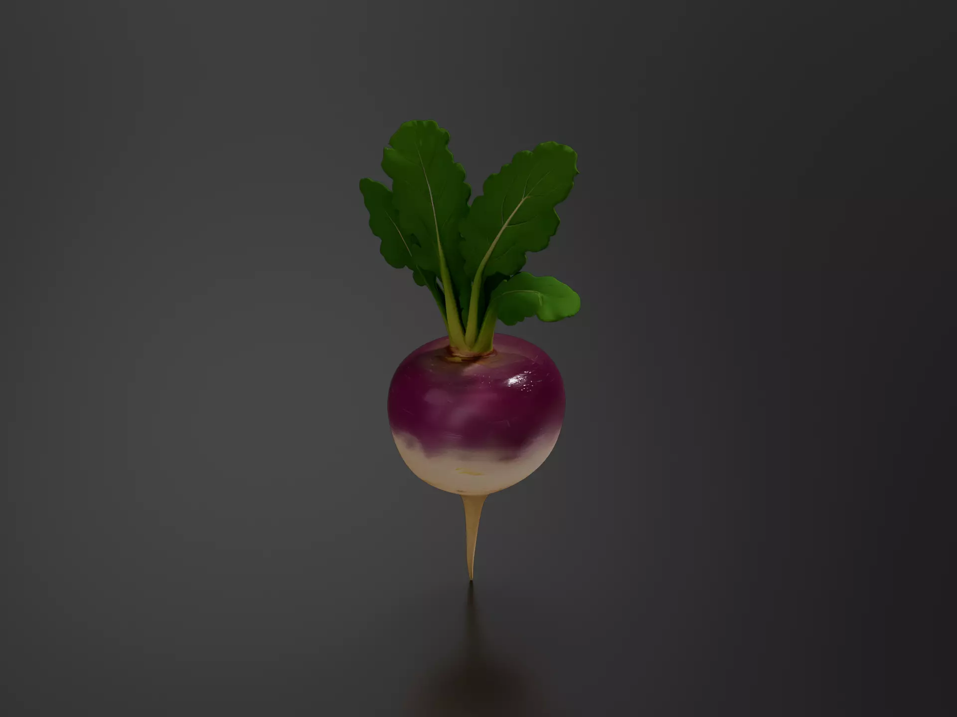 turnip 01 3D print model