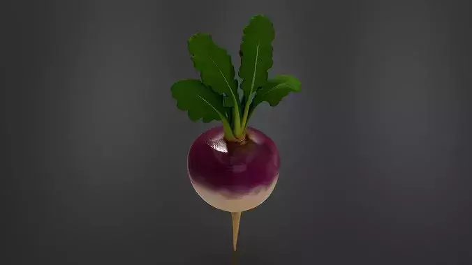 turnip 01 3D print model 5