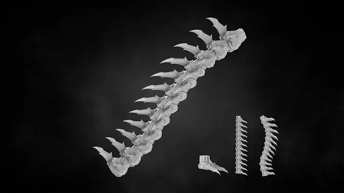 BIOFORGE - SPINE NO 04 STL OBJ