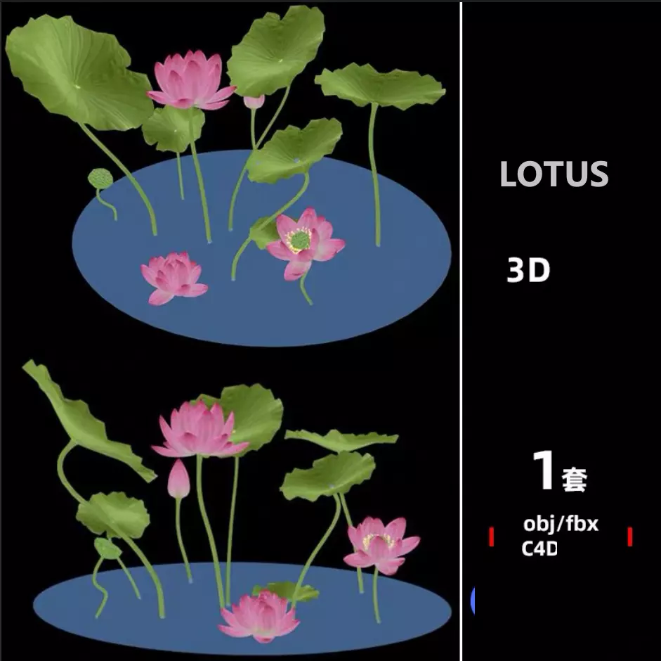 lotus free model with texture Free low-poly 3D model