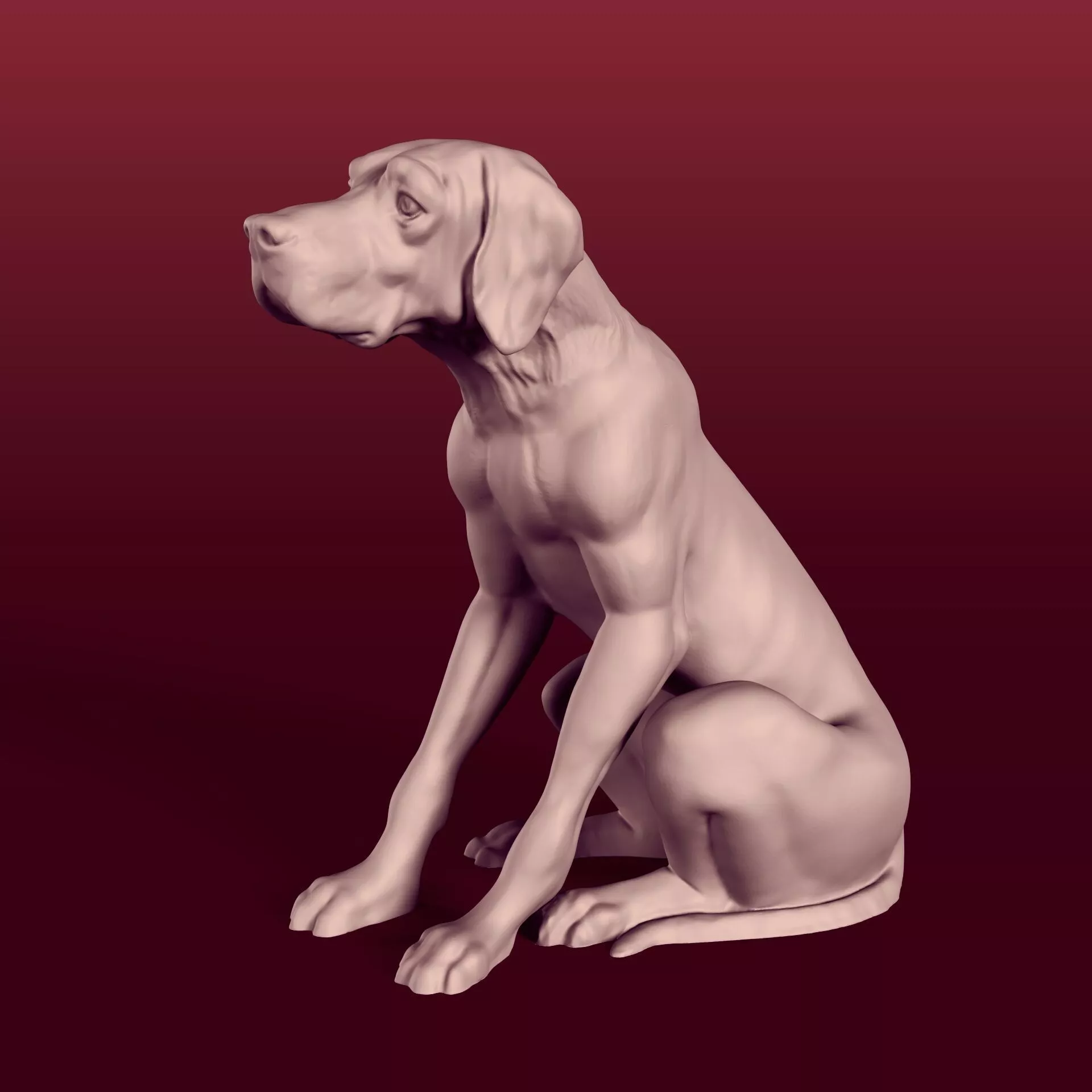 Sitting Pointer Dog Statue - Figurine - Sculpture 3D print model
