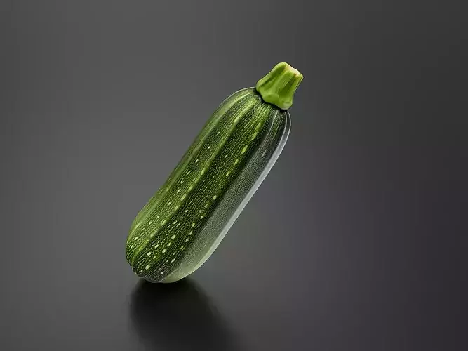 Zucchini 01 3D print model