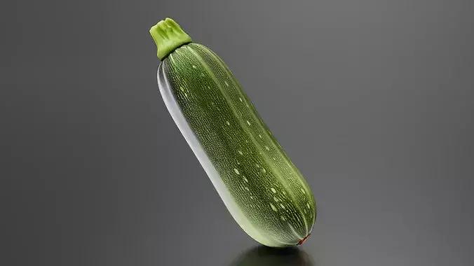 Zucchini 01 3D print model 4