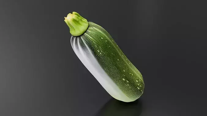 Zucchini 01 3D print model 3
