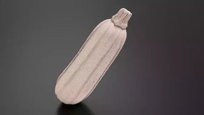 Zucchini 01 3D print model 7