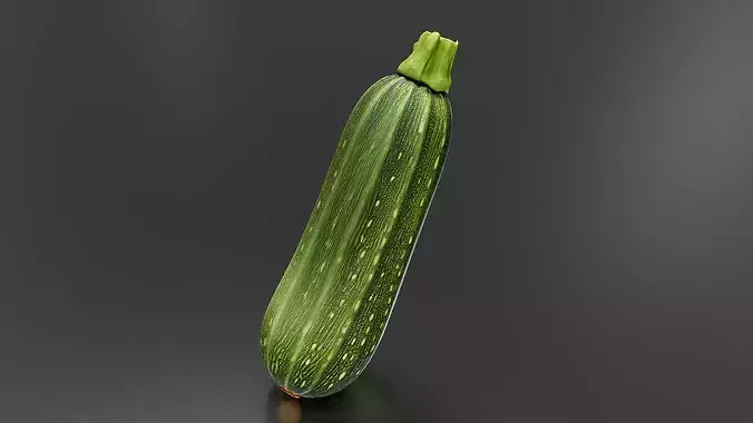 Zucchini 01 3D print model 5