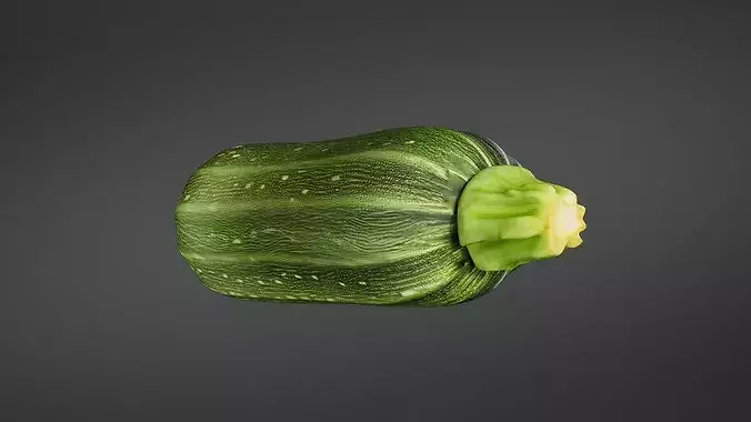 Zucchini 01 3D print model 6