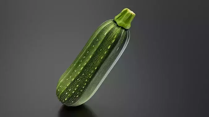 Zucchini 01 3D print model 2