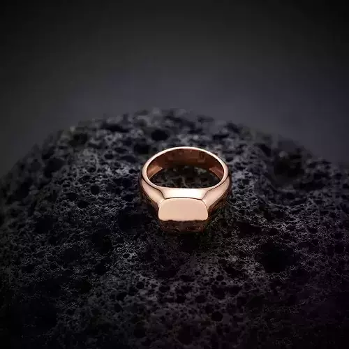 Jewelry Signet Ring v12 S Size