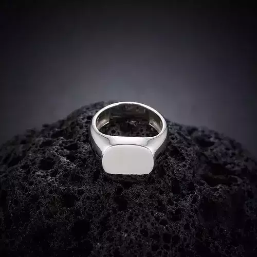 Jewelry Signet Ring v12 M Size