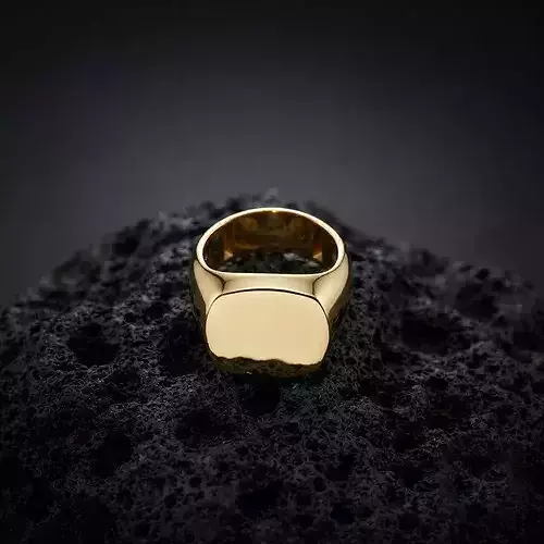 Jewelry Signet Ring v12 L Size