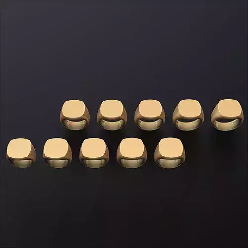 Jewelry Signet Ring v12 L Size