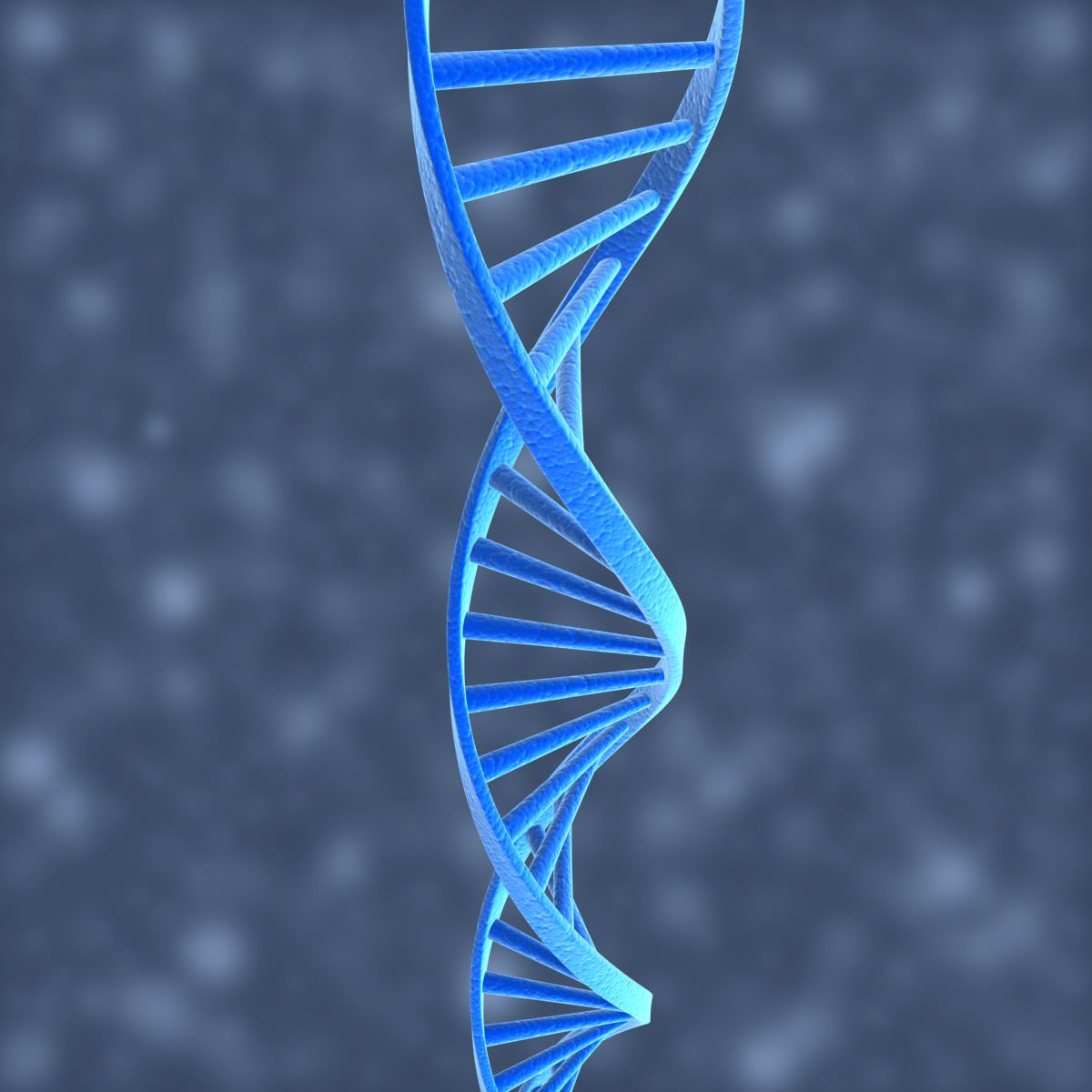DNA Helix 3D model_10