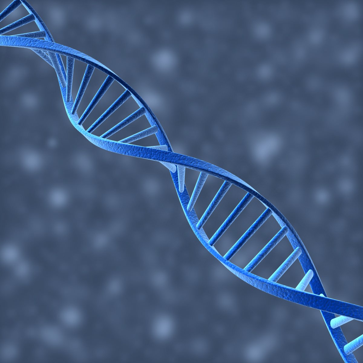 DNA Helix 3D model_5