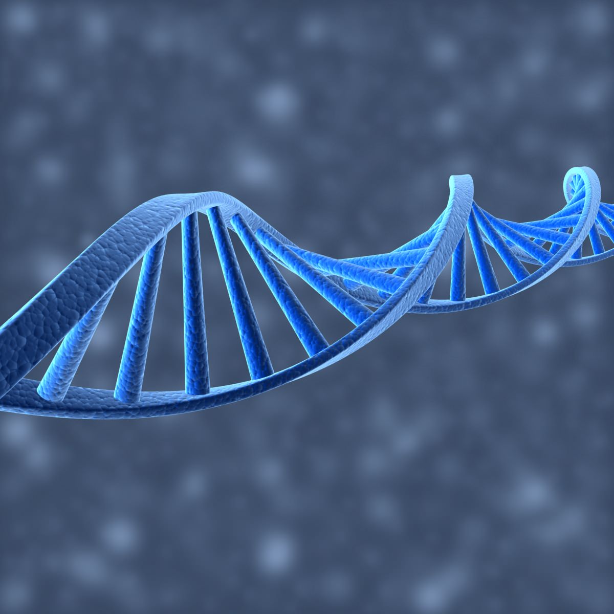 DNA Helix 3D model_2