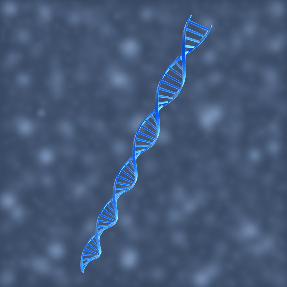DNA Helix 3D model_6