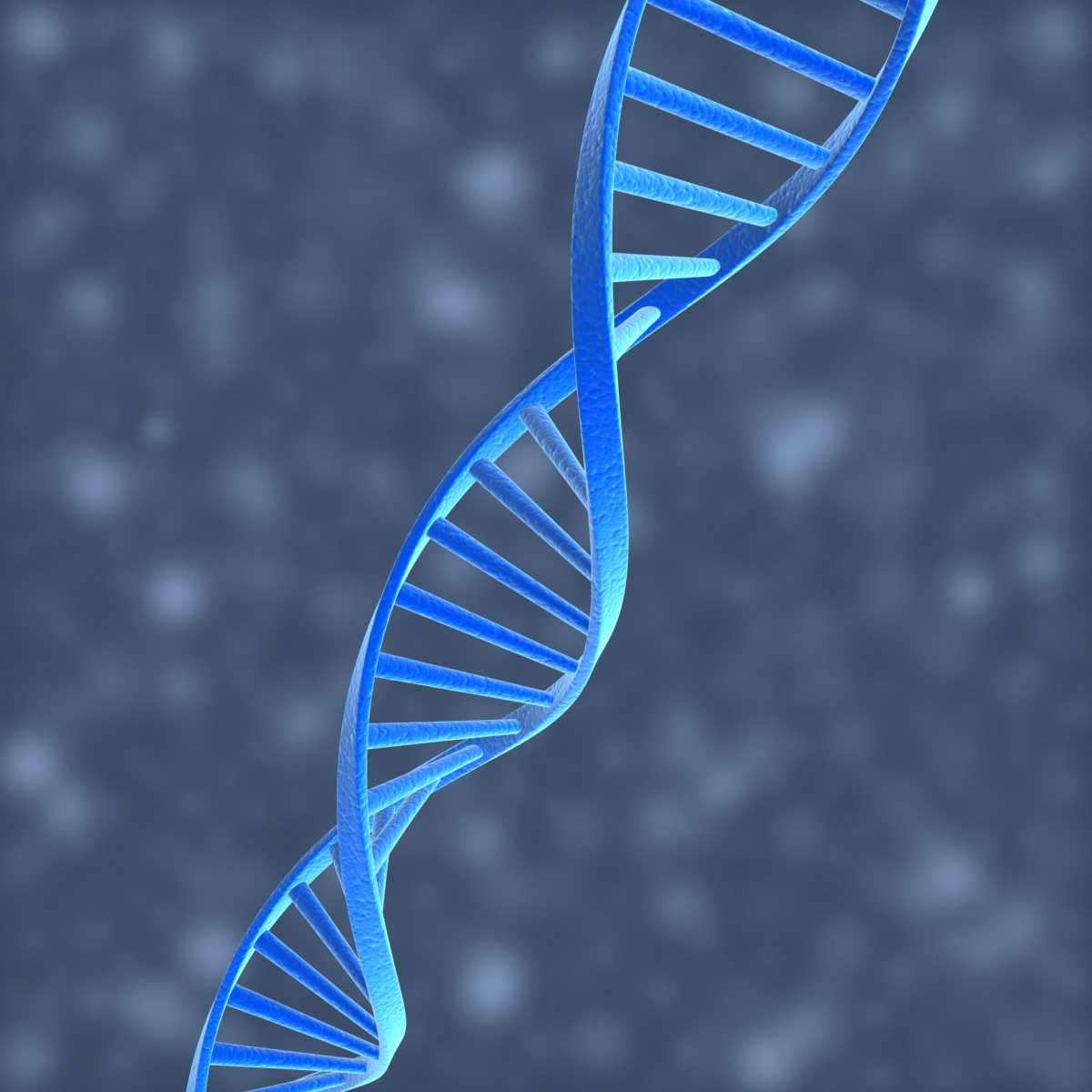 DNA Helix 3D model_1