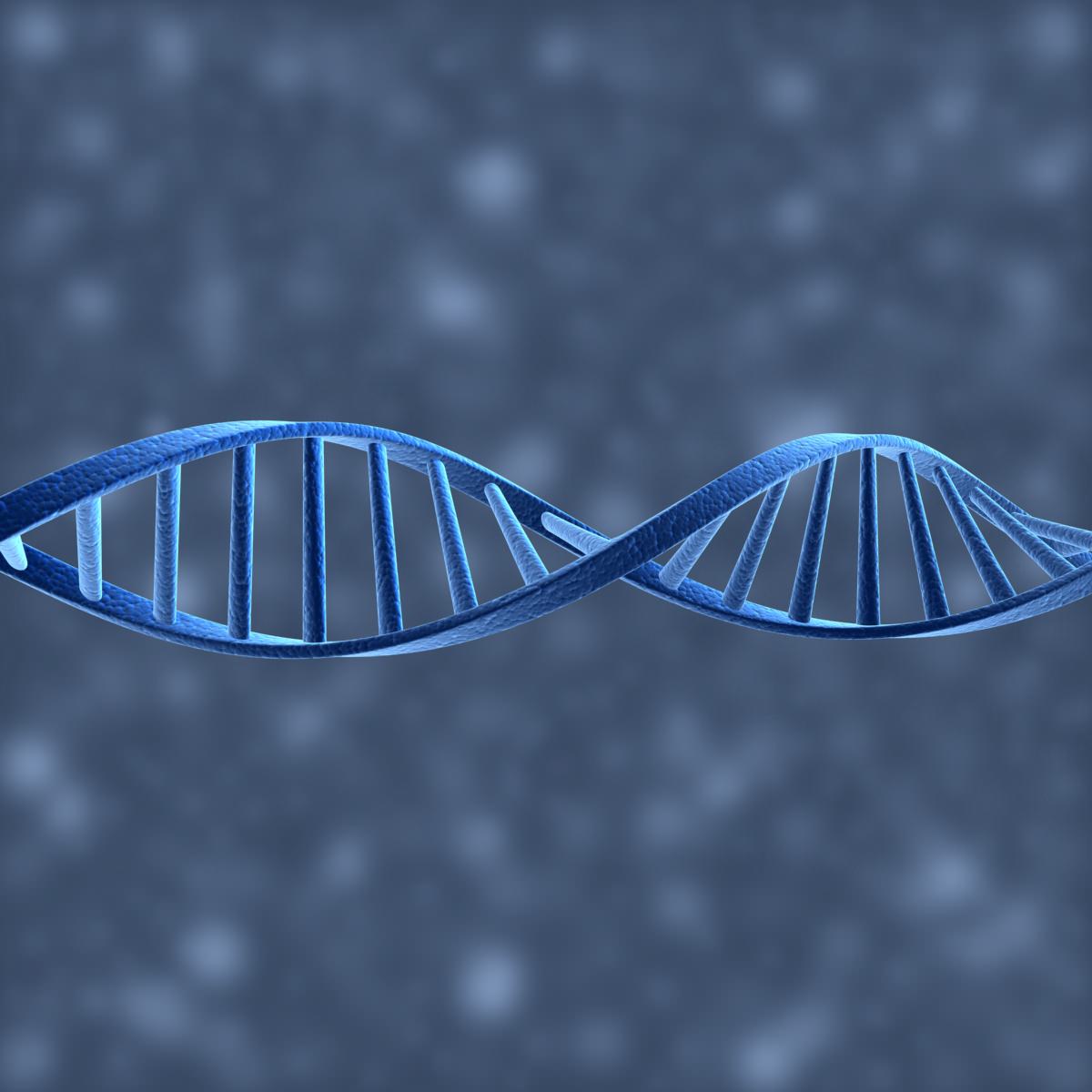 DNA Helix 3D model_4