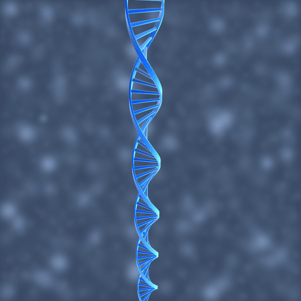 DNA Helix 3D model_8