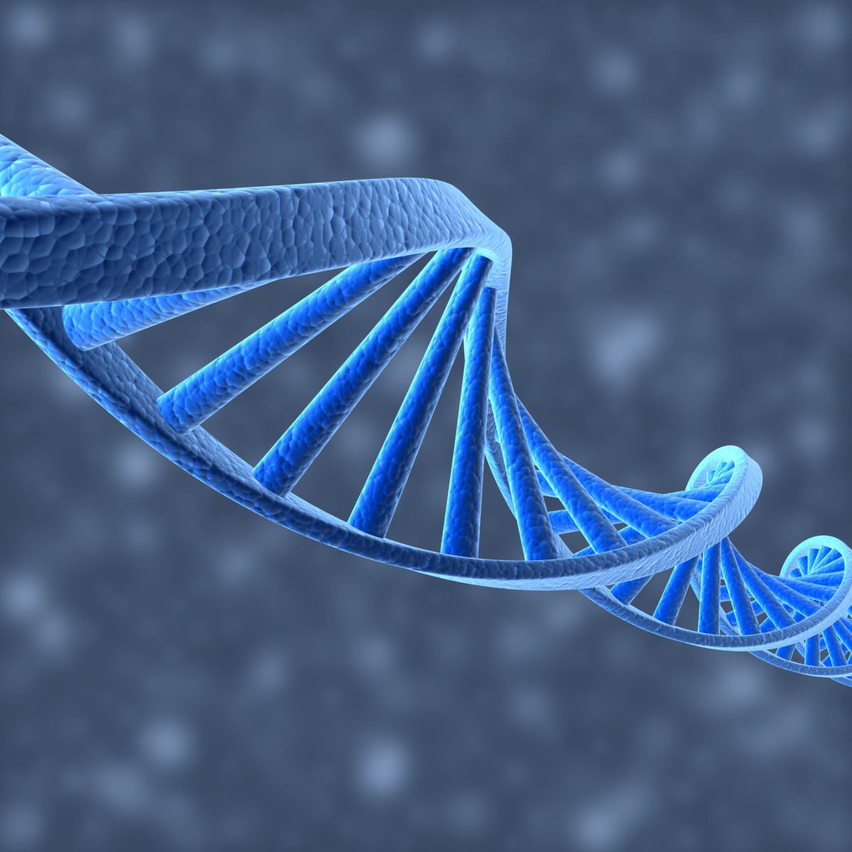 DNA Helix 3D model_3