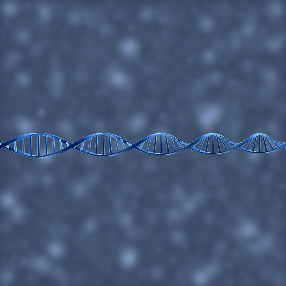 DNA Helix 3D model_7