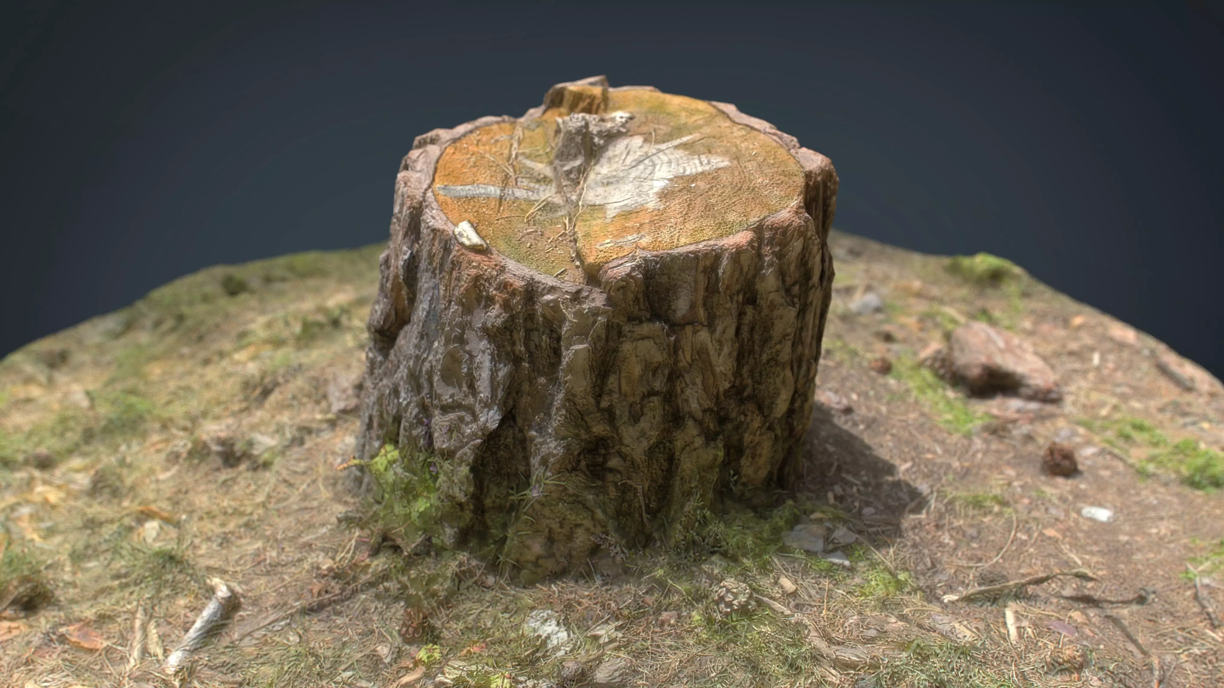 Tree Stump Low-poly 3D model