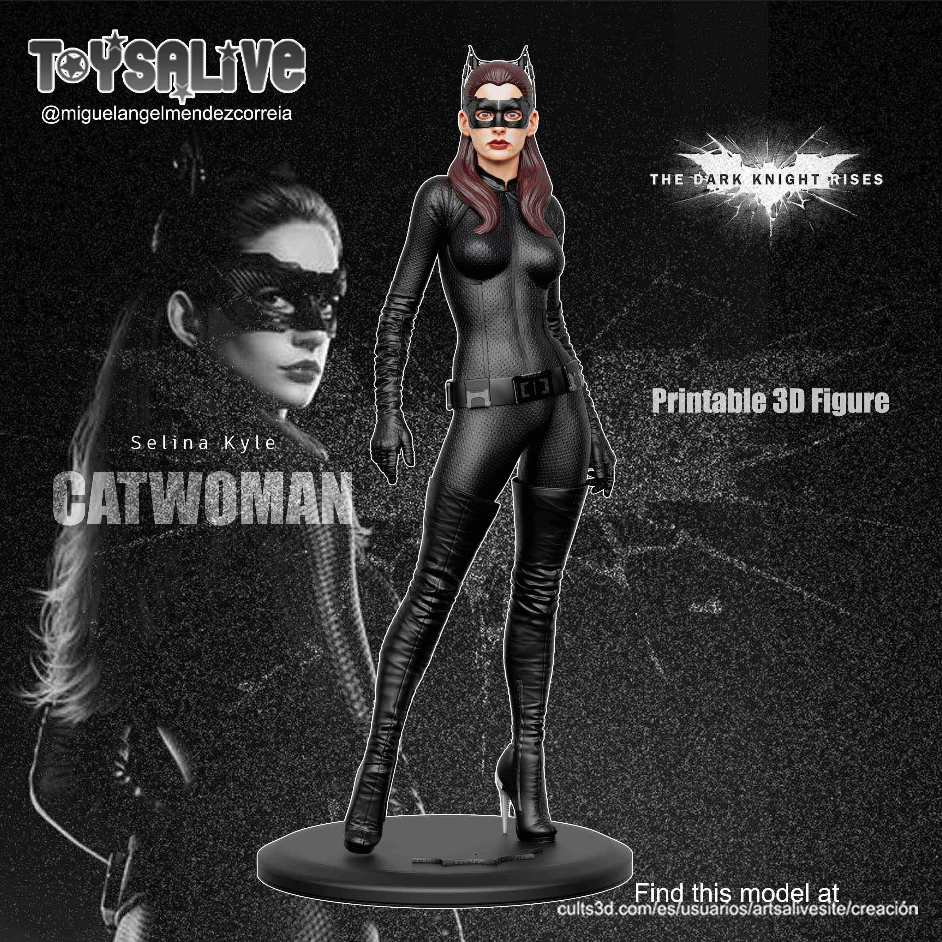 Catwoman Selina kyle from The Dark Knight Rises Movie 3D print model