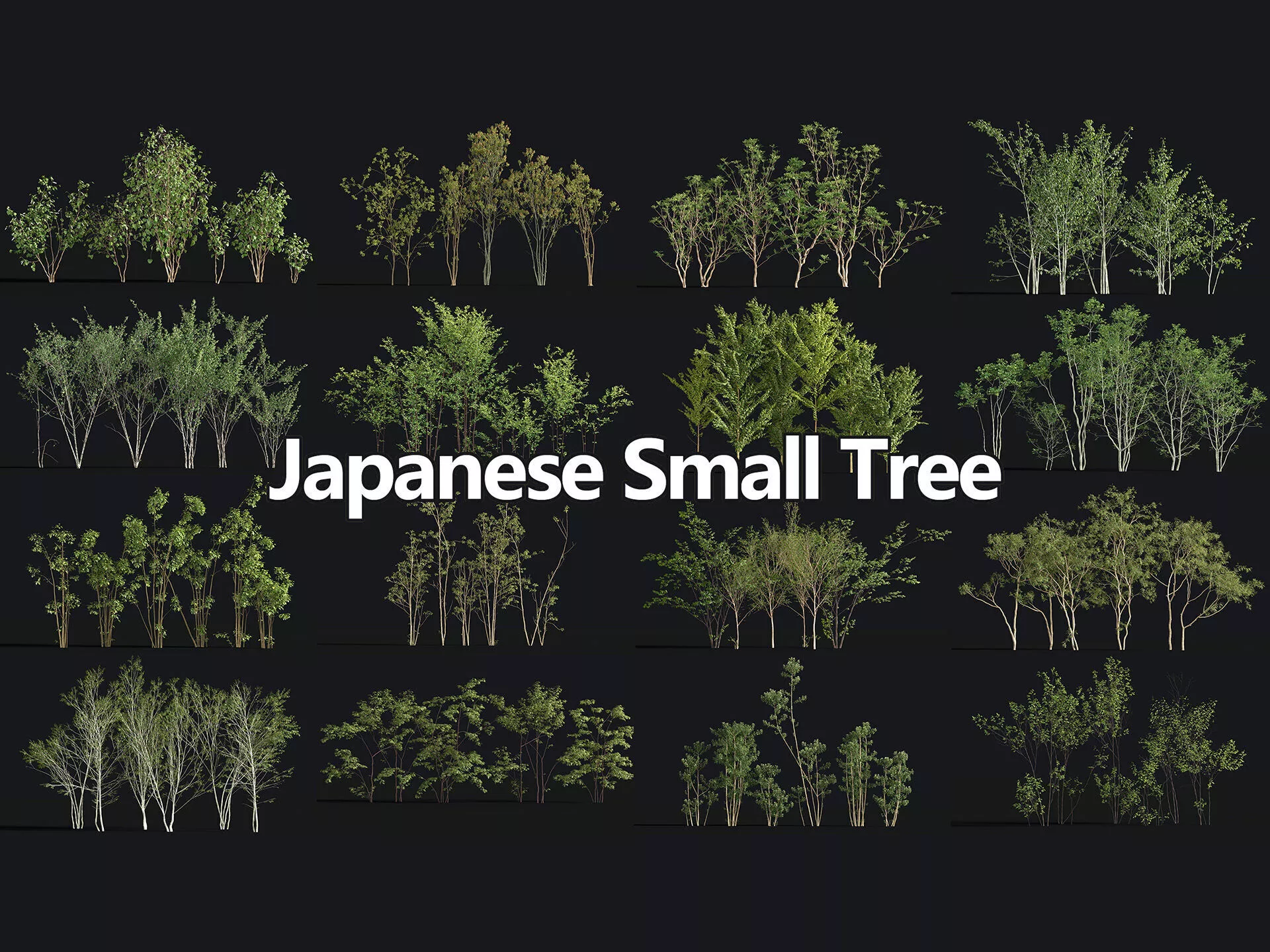 Japanese Small Tree Collection Low-poly 3D model