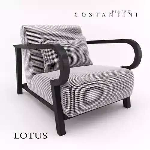 Costantini Pietro Armchair Lotus 3D model