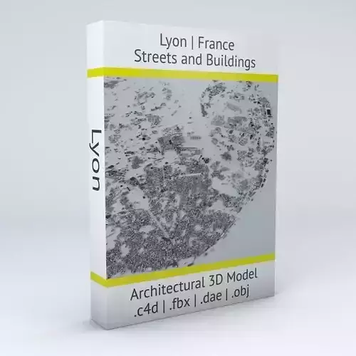 Lyon Streets and Buildings