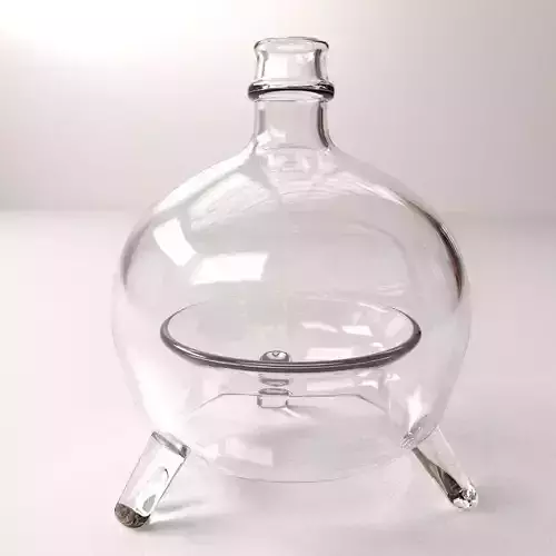 Fly Bottle 3D model