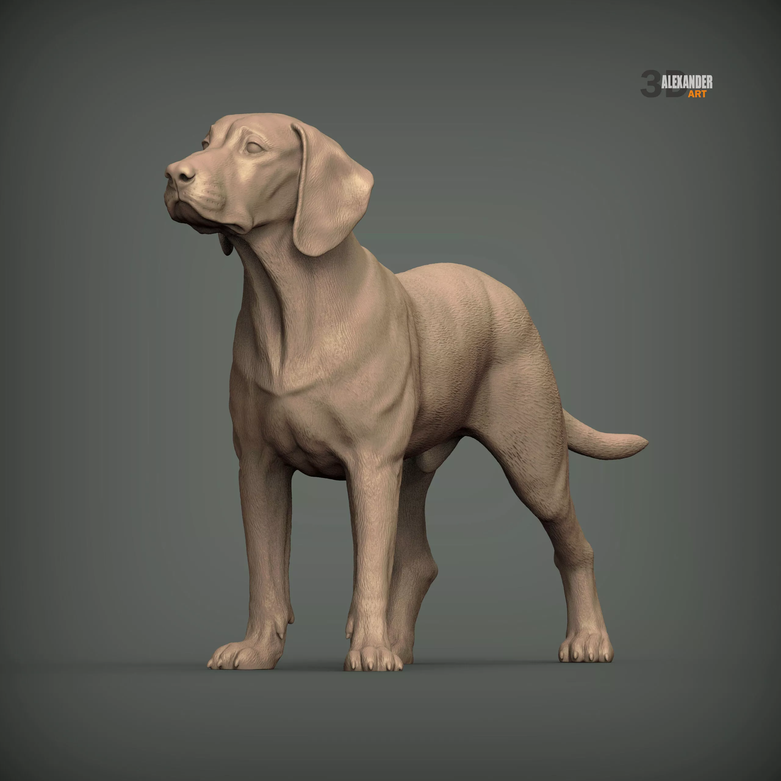 Posavac Hound STL for 3D Printing 3D print model