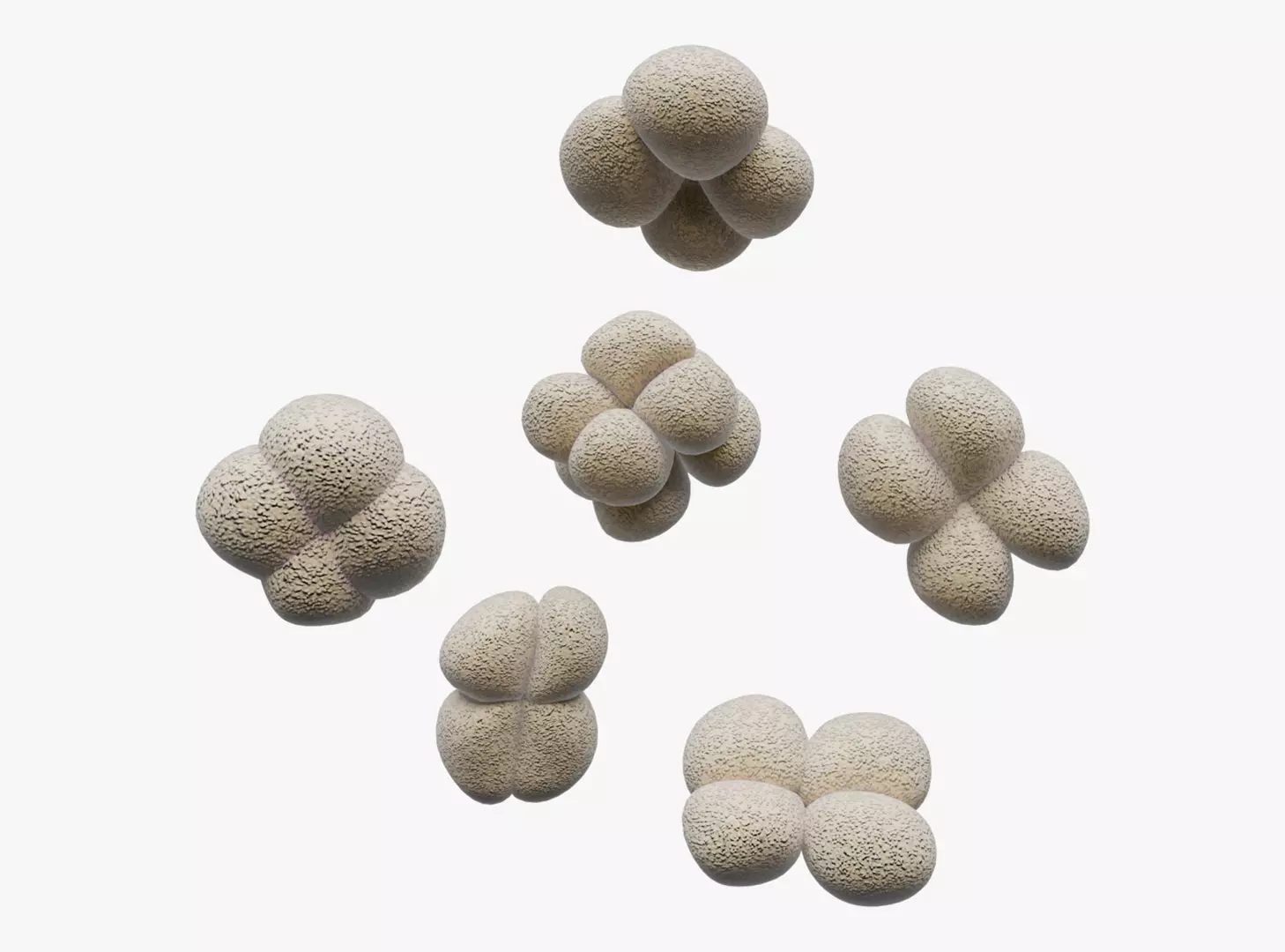Deinococcus Radiodurans Bacteria 3D model