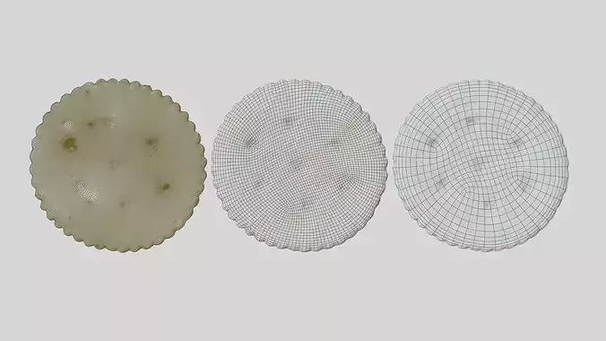 Realistic Saltine Cracker PBR 3D Scan Photogrammetry Asset Low-poly 3D model 5