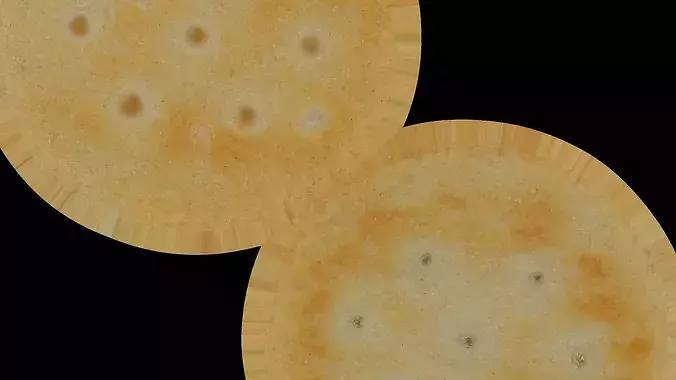 Realistic Saltine Cracker PBR 3D Scan Photogrammetry Asset Low-poly 3D model 6