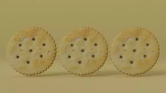 Realistic Saltine Cracker PBR 3D Scan Photogrammetry Asset Low-poly 3D model 2