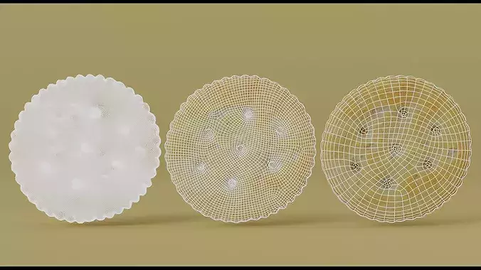 Realistic Saltine Cracker PBR 3D Scan Photogrammetry Asset Low-poly 3D model 3