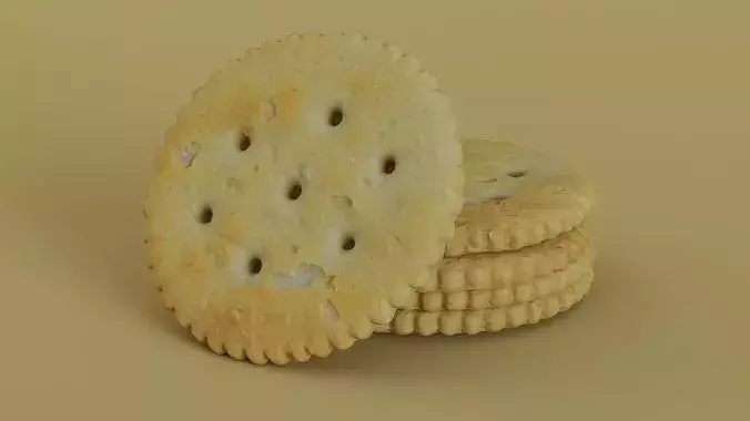 Realistic Saltine Cracker PBR 3D Scan Photogrammetry Asset Low-poly 3D model
