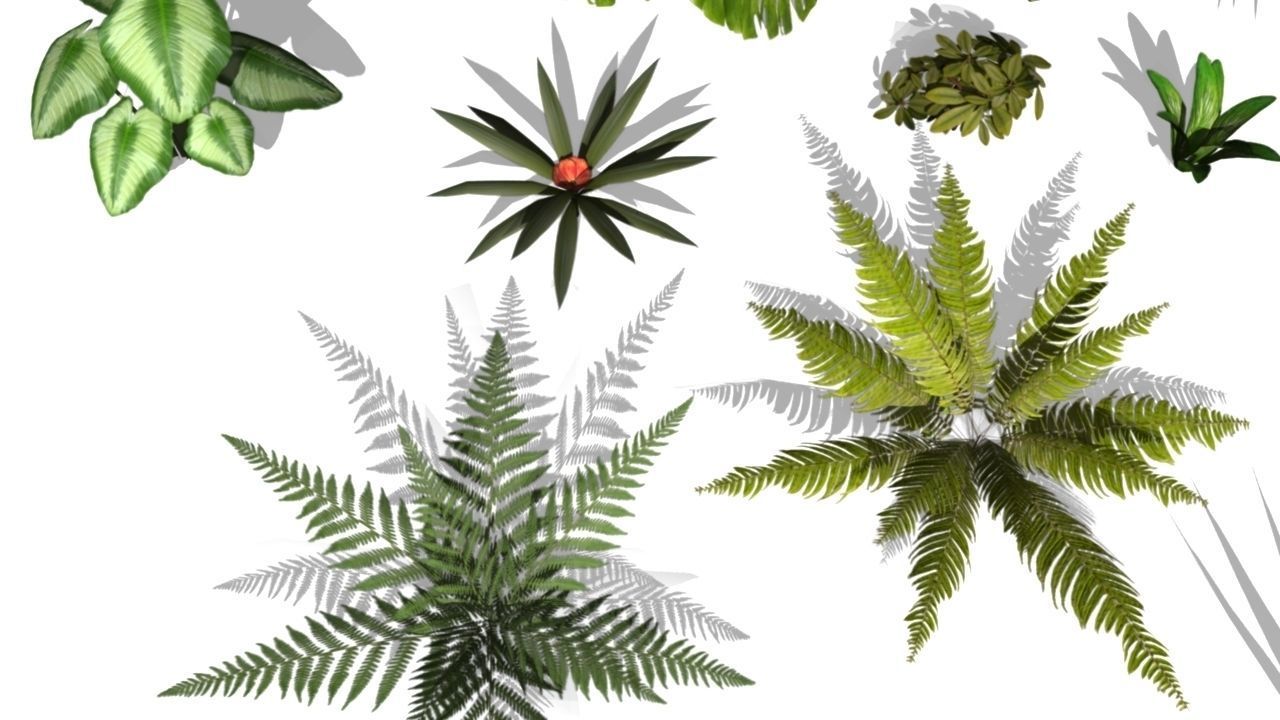 Low poly Foliage Pack Low-poly 3D model_6