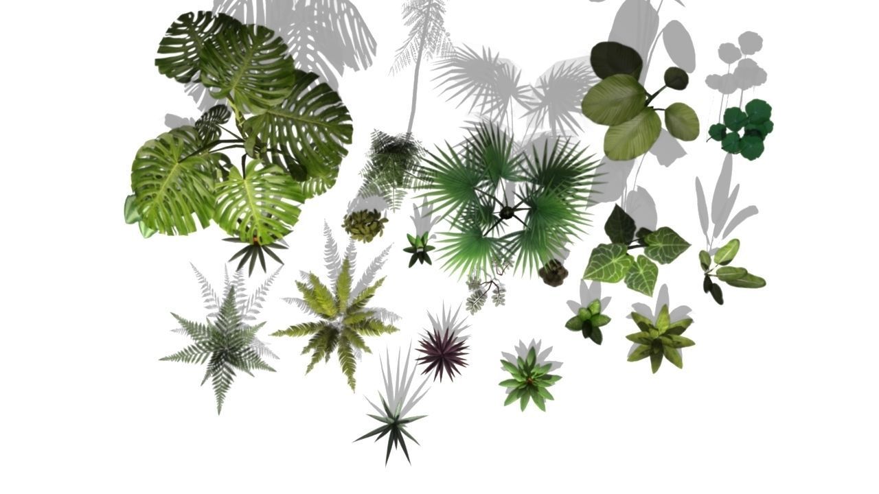 Low poly Foliage Pack Low-poly 3D model_2