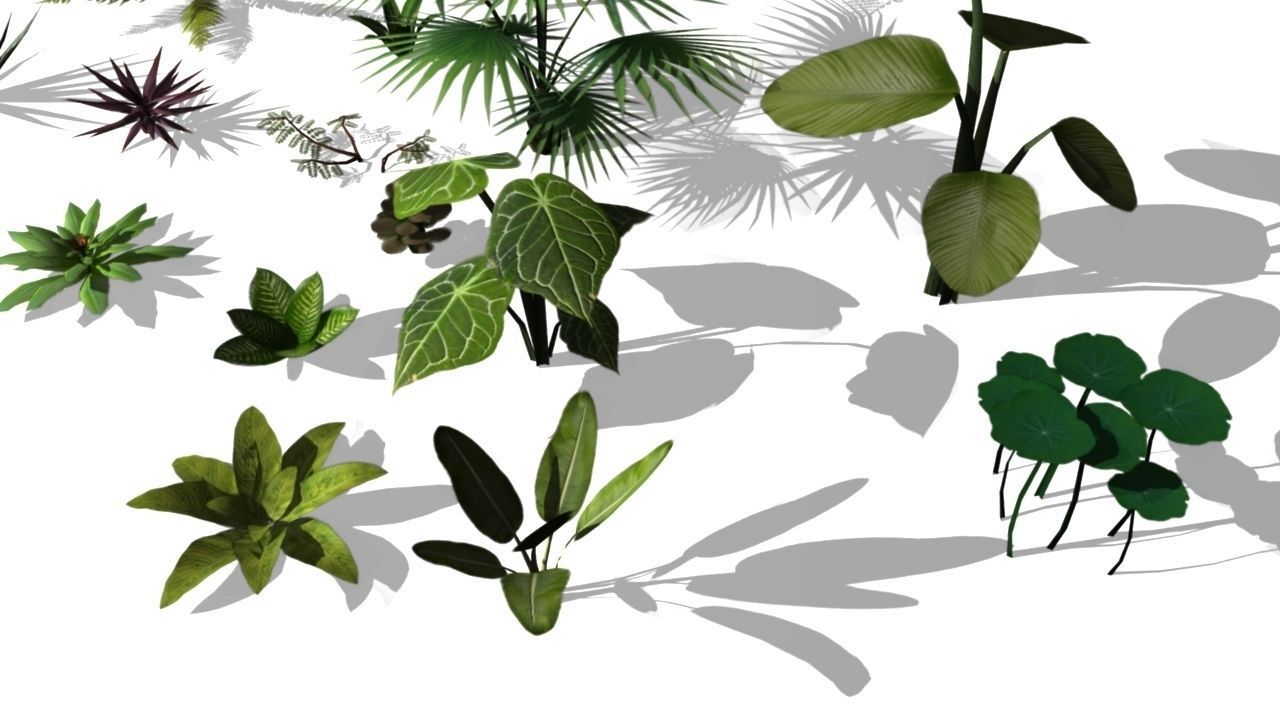Low poly Foliage Pack Low-poly 3D model_4
