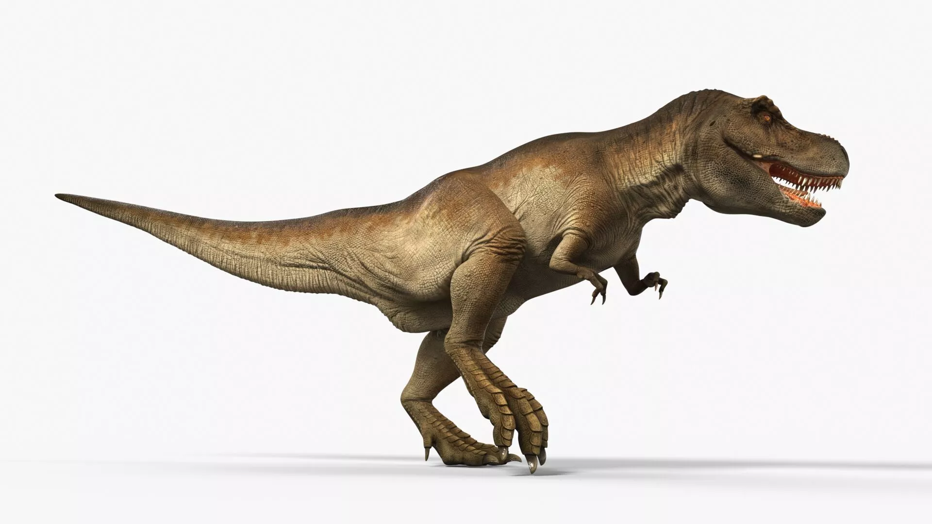 Tyrannosaurus Rex Dinosaur Rigged 3D model