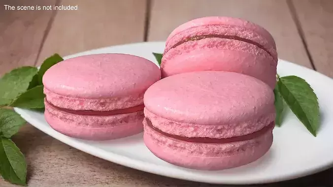 French Macaron Dessert 3D model 2