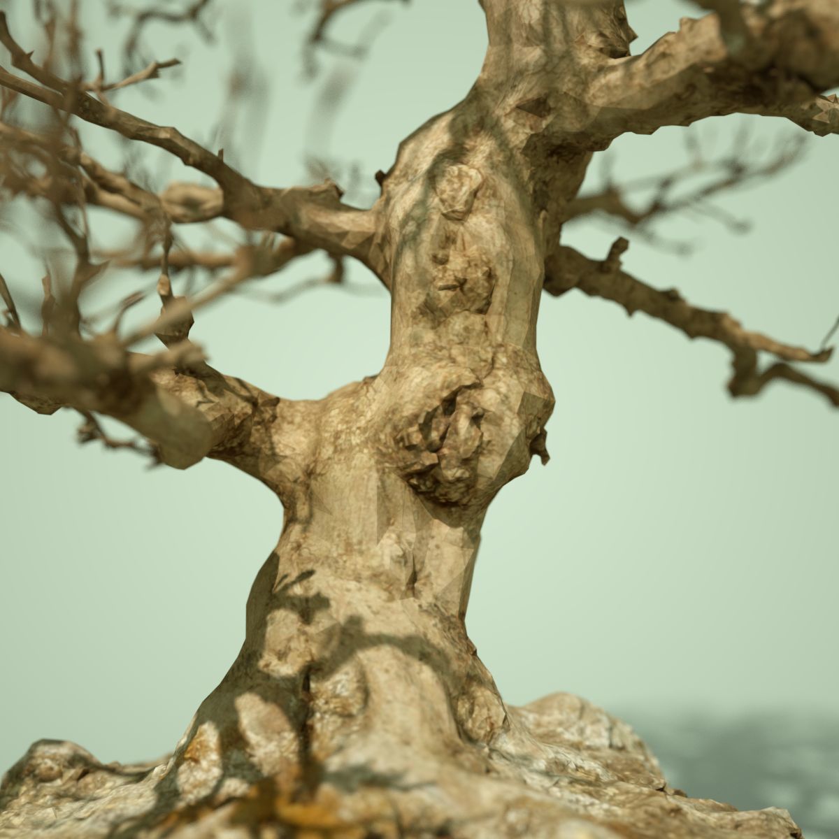 Dead Bonsai  Tree 1 3D model_1