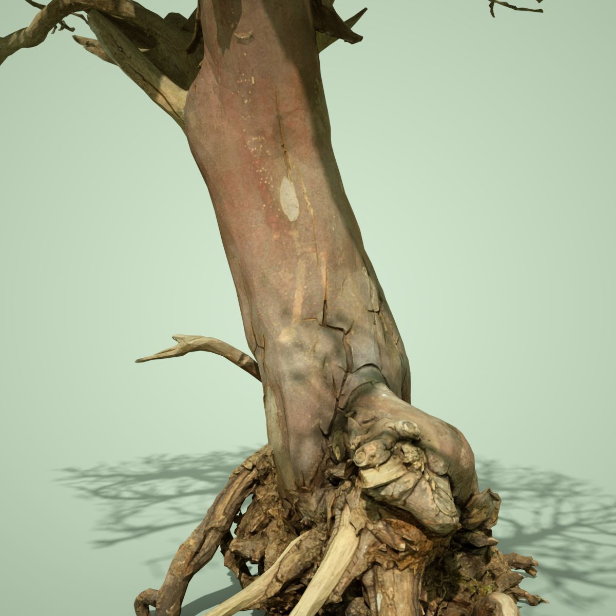 Dead Bonsai Tree 2 3D model_3