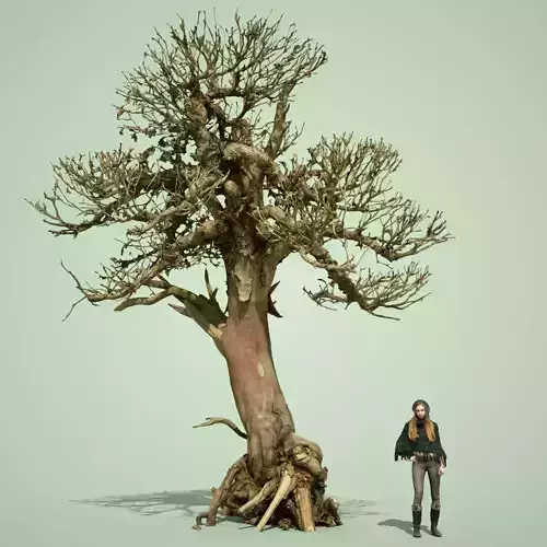 Dead Bonsai Tree 2 3D model