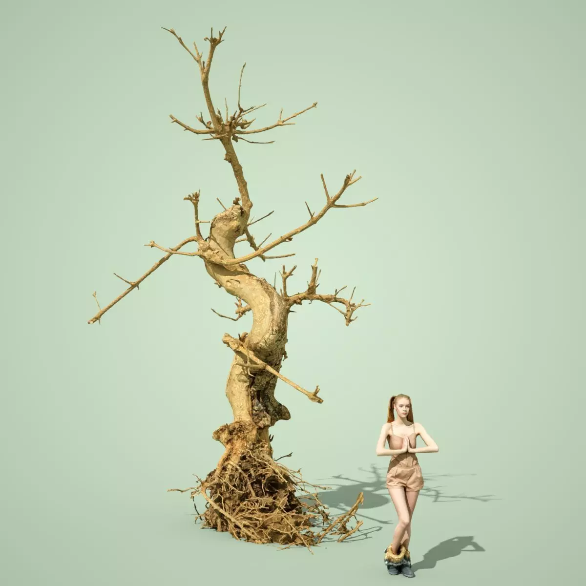 Dead Bonsai Tree 6 3D model_0